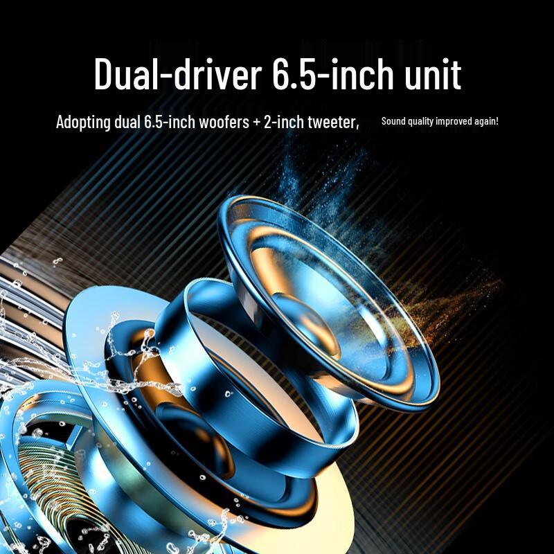 Newmine A2 Portable Bluetooth Karaoke Speaker