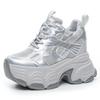 Inner Heightening Women's Shoes 12cm New Breathable Dad Shoes Platform Mesh Small Sports Casual Shoes Women A2513