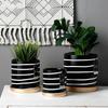Nordischer Schwarz-Weiß Gestreifter Keramik-Blumentopf mit Untersetzer Runder Schreibtisch-Blumentopfbehälter Heimdekorationen