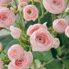 12 Head Artificial Peony Flower Bouquet Realistic Faux Silk Peony Floral Arrangement for Home Wedding Table Decoration