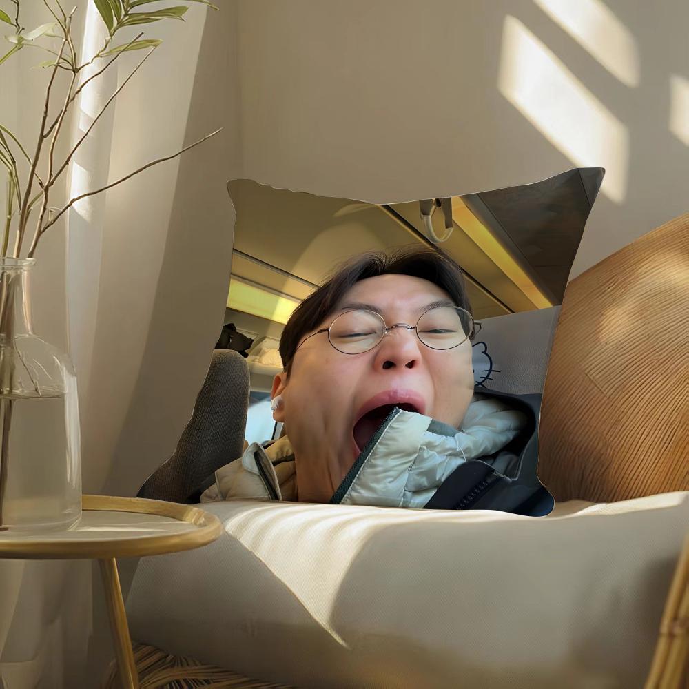 Lustige Sterne RRoh JJae Won Kissenbezug Doppelseitig Plüsch Sofa Kissenbezüge Bio Atmungsaktiv Versteckter Reißverschluss