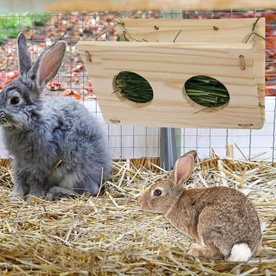 Rabbit Hay Feeder Bunny Manger Rack Portable Multifunction Food Dispenser Small Animals Grass