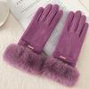 Warm Gloves Women'S German Plush Mouth Windproof And Cold-Proof Plush Outdoor Riding Driving Touch Screen Autumn And Winter Gloves