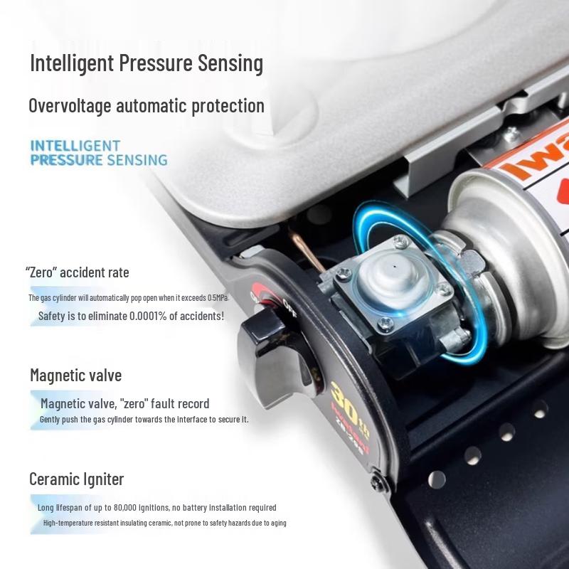 Iwatani Portable Butane Gas Canister