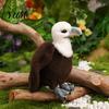Educational Bird Toy for Students Realistic Plush Bald Eagle Doll, Stuffed Animal with Foldable Posable Wing Plushie Wings, Lifelike Home Decor