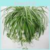 Realistic Silk Plant Wall Hanging With Flexible Branches For Office And Home Use