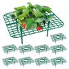 10Pcs Strawberry Growing Racks Support Stand Protector Strawberry Growing Frame