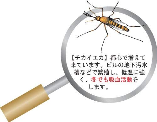 Doggyman Medicinal Mosquito Repellent Anzumi Incense Green 1 Piece (x 1)