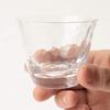 Takasegawa Sake Glass 80ml
