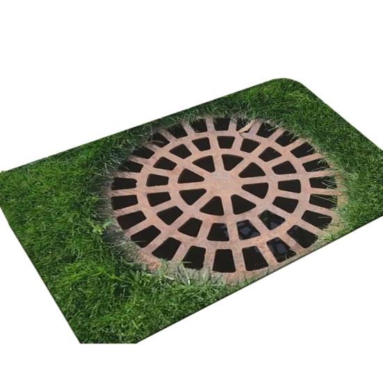 

Floor Mat Non-Slip Vision Rug with Stunning 3D Optical Illusion Design Door 50*80cm A