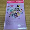 [USED] Sailor Moon Art Book vol.2 + Illustrations with Files