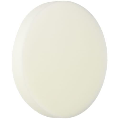 Takagi EARTH MAN Sponge Pad for Electric Polisher TKG-1401210