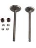 Head Intake Exhaust Valves Seals For Honda SH S-Wing Pantheon 125 150 2001-12
