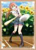 Chara Sleeve Collection Mat Series August Cinderella Nine (No.MT715)