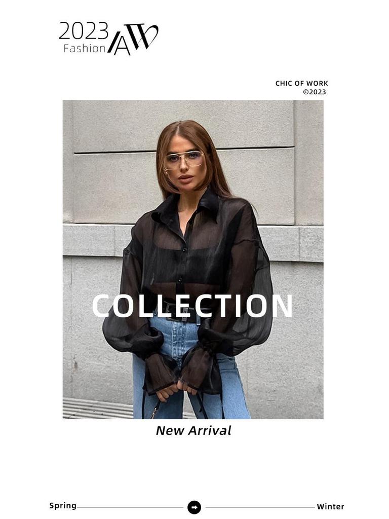 Black Mesh Turn-Down Collar Puff Sleeve Women's Shirt - 2025 New European & American Autumn Fashion