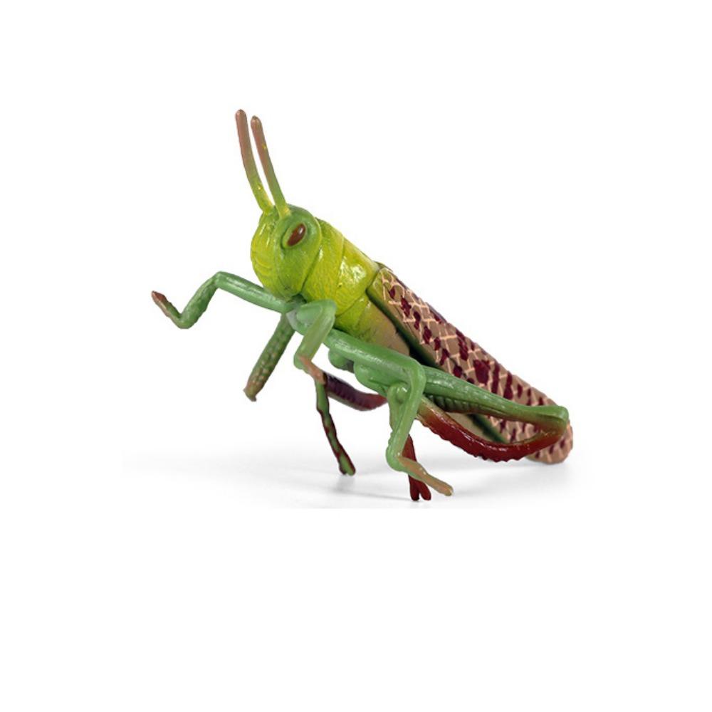 2Pcs Cartoon Locust Statue Vivid Animal Toys Creative Locust Animal Model  Garden