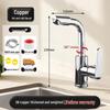 Stainless Steel Wall-Mounted Hot & Cold Kitchen Faucet