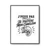 Affiche - PLANETEE - J'peux pas minimaliste (Caméléon) - A2 - Papier photo 310 g/m² - Finition perlée