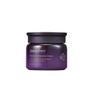 Innisfree Perfect 9 Intensive Cream 60ml