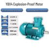Erboli YBX4 Three-Phase Explosion-Proof Motor (7.5KW, 2-Pole) CN Plug (adapter Included)