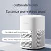 Xiaomi Xiaoai Smart Speaker Play