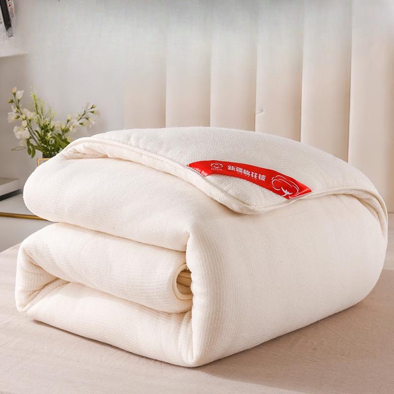 Brangdy All-Season Quilted Duvet