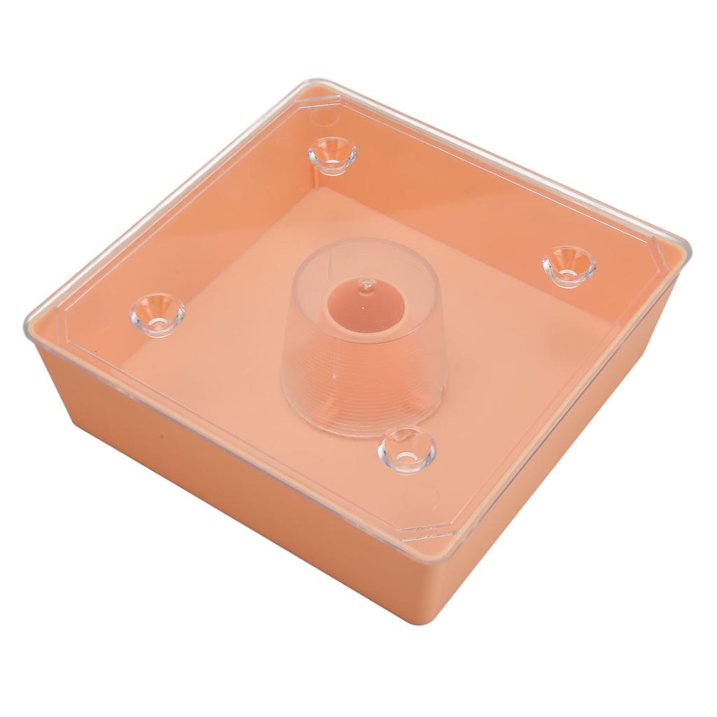 Acryl Kolibri Feeder Outdoor Beehive Top Feeder Platz Imkerei Wasser Feeder