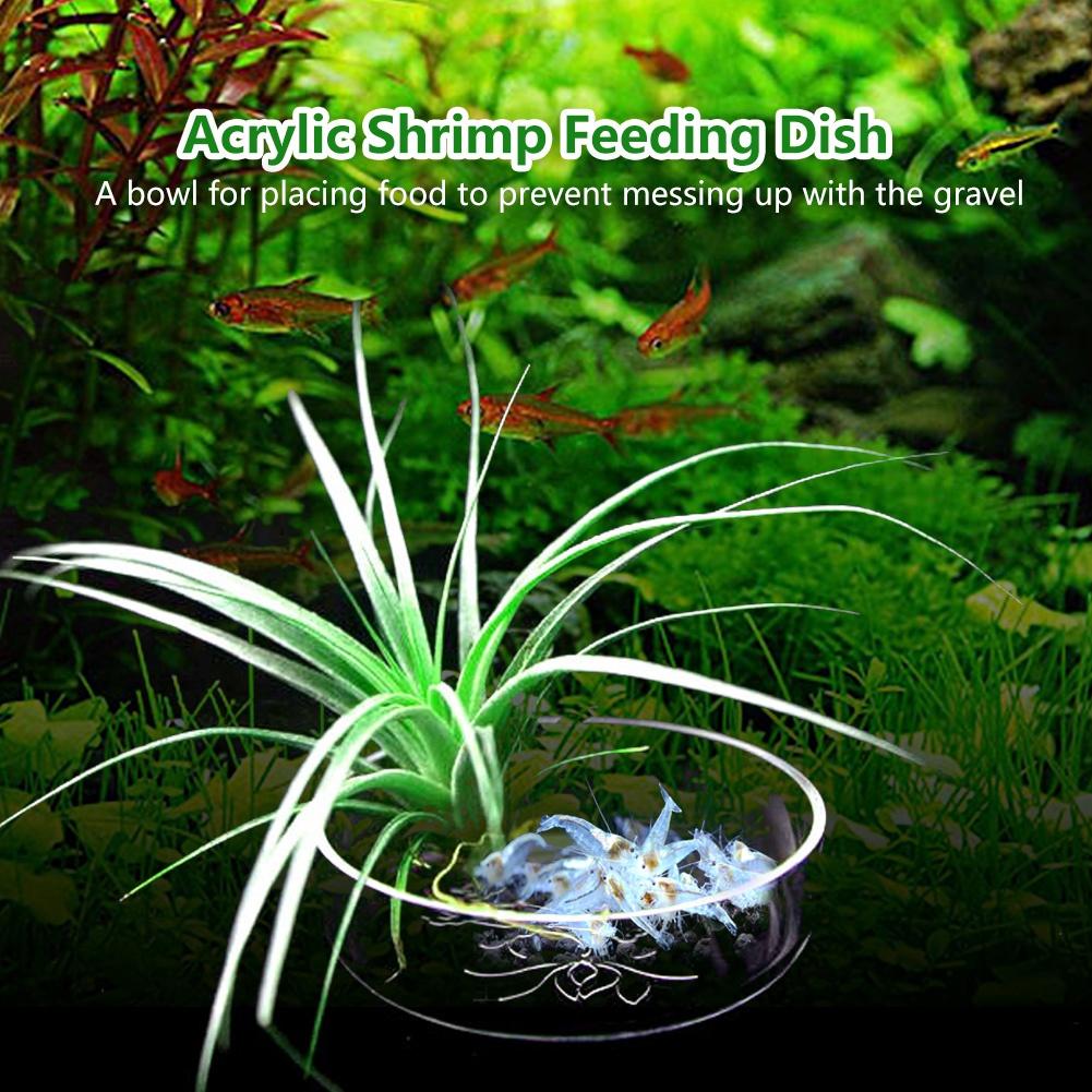 Acrylic Aquarium Shrimp Feeding Dish Bowl Tray Water Food Dish Feeder Bowl
