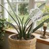 Flower Shape Automatic Plant Watering Device Automatic Plant Waterer Self Watering Bulb Glass Indoor Outdoor Vacation Plant Care