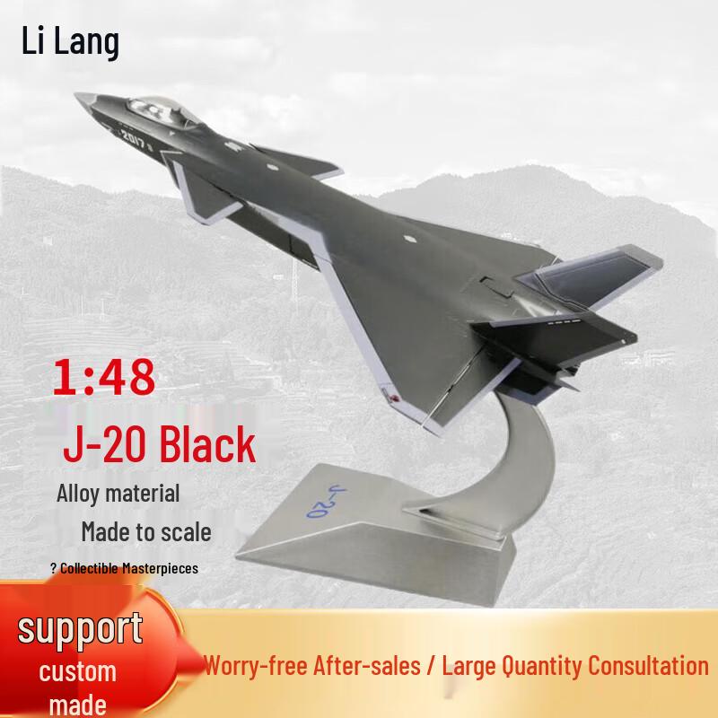 J-20 Stealth Fighter Aircraft Model