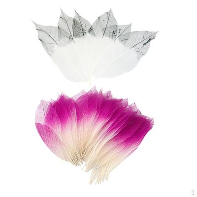 Förpackning med 100 Magnoliaskelettblad Dekorativa, Konstgjorda Hantverkskort Skrapbok DIY