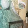 Beach Sea Starfish Shells Green Sheer Curtains for Living Room Decoration Window Curtains Kitchen Tulle Voile Organza Curtains