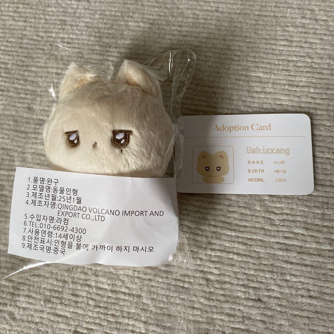 

[USED] NCT WISH Yuushi Plush Toy, Winimalz, 10cm, Yuushi