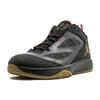 Jordan 2011 Q Flight Year Of The Rabbit 454486-008