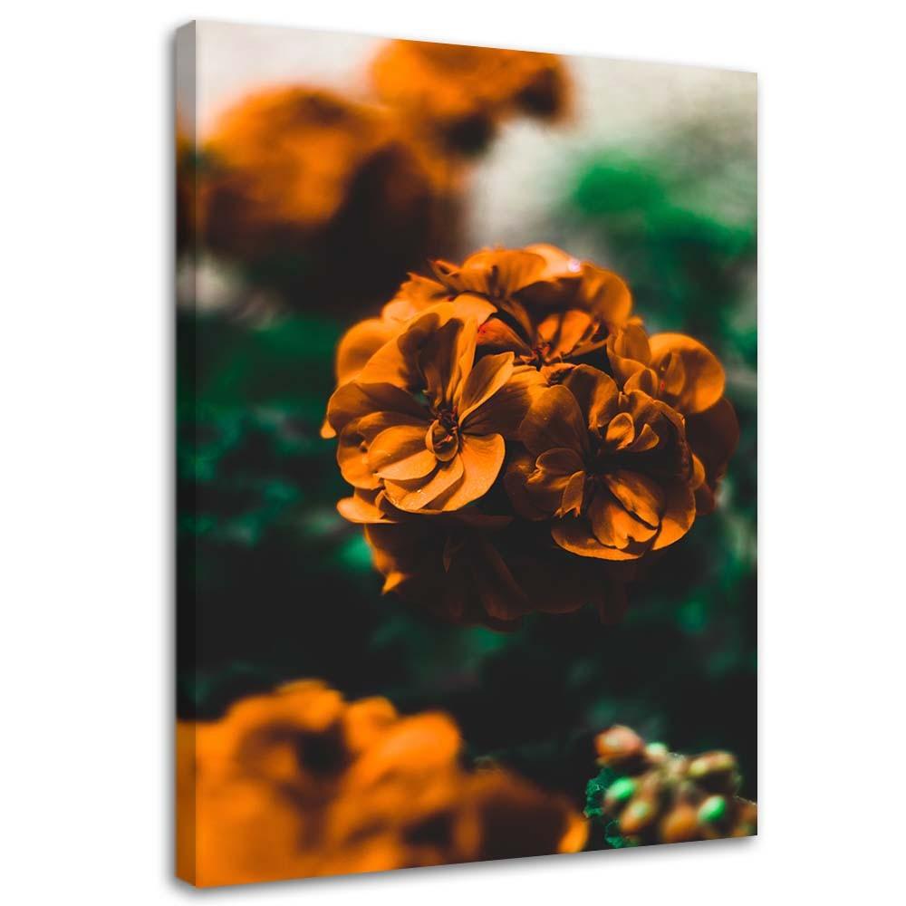 Canvas print, Orange flowers