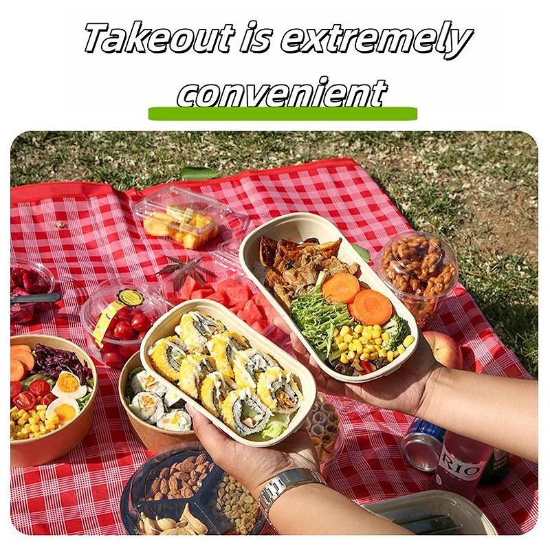 10/50 Stück Ovale Zuckerrohr Bagasse Boxen Umweltfreundliche Biologisch Abbaubare Lebensmittelbehälter mit PET-Deckel