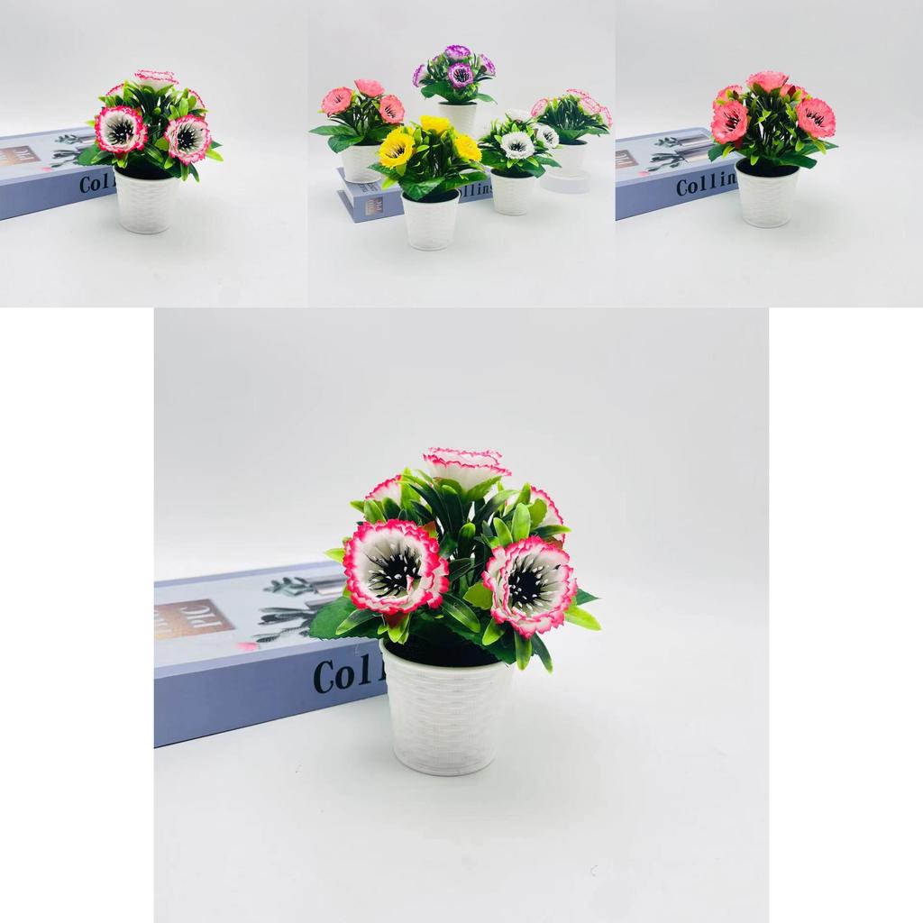 Peony Bloom Mini Potted Arrangement For Indoor Decor And Photo Studio