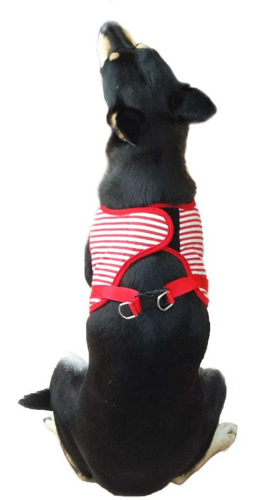 ASHU Dog Wear Harness and Lead, Border Red, Tezukayama Houndcam (LL, XL), for Medium Dogs (Wear Harness (LL: Chest Circumference 52-60cm))