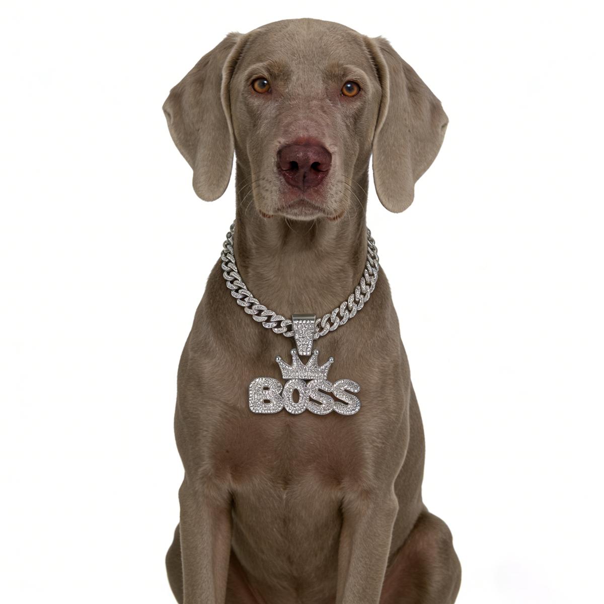 Goldene Hundekette Luxus-Anhänger Hundehalsband Leine Metall Mit Design-Schnalle Haustierhalsband Schmuck Zubehör Für Mittlere Große Hunde 14inch(35cm)