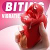 Rose Tongue Licking Vibrator with 10 Vibration Modes and 10 French Kissing Modes,Tongue Sex Toy Vibrator,Clitoral Vibrator for Women,Adult Sex Toys