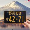 Car License Plate Metal Wall Decor 15x30cm