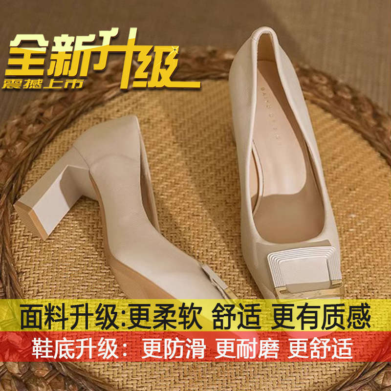 

French celebrity gentle style single shoes temperament fashionable small leather shoes women s 2025 spring and summer new thick heel square head high 40