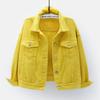 Damen Übergröße Koreanischer Stil Farbige Jeansjacke - Kurz, Lockere Passform, Langärmlig, Frühling & Herbst Kollektion
