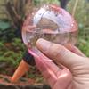 350/500ml Automatic Flower Waterer Self-Watering Balls Drip Irrigation Series Indoor Outdoor Plant Watering Bulbs