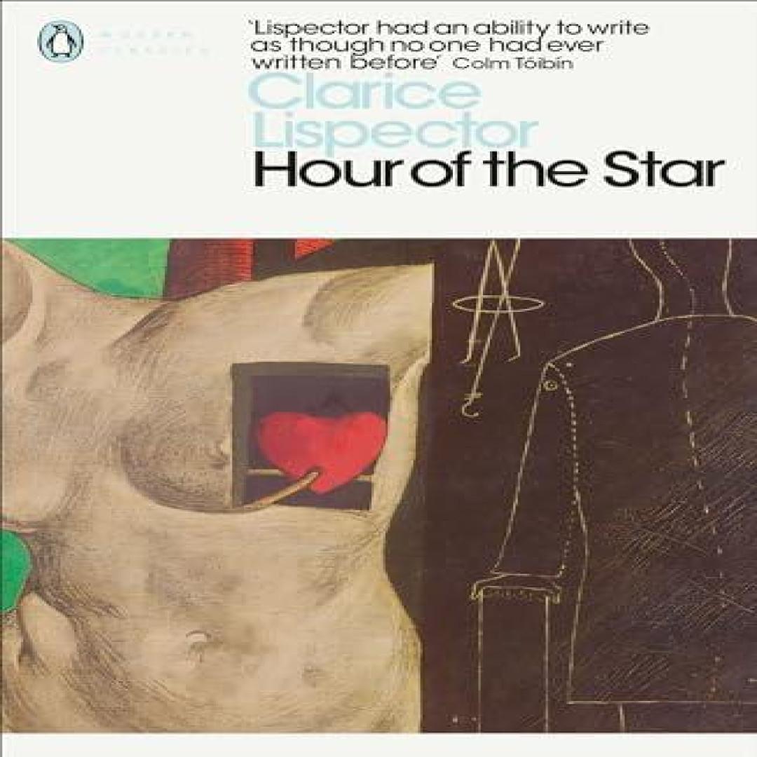 Die Stunde des Sterns von Clarice Lispector Taschenbuch 9780141392035