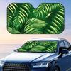 Pelicule şi protecţie solară – Parasolare și paravane