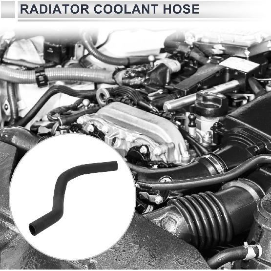 Upper Radiator Coolant Hose for Honda Accord 1998-2002 for Acura TL 1999-2003 Good Sealing Water Hose Pipe No.19501P8CA00 Rubber 1 Pc