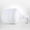 NuFeng Portable LED Rechargeable Bulb