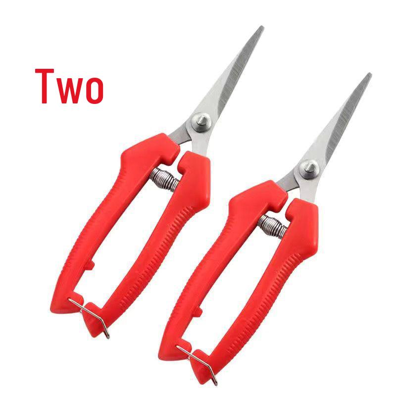 Gardening Shears Set: Pruning & Thinning Tools for Fruit, Vegetables, Sweet Potatoes, Grapes, and Apples; Includes Picking and Prickly Ash Shears.