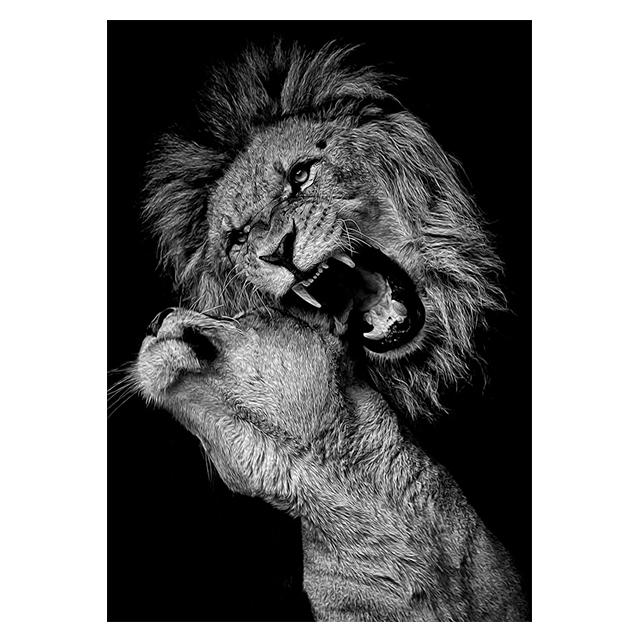 Animals Black And White Lions Love Family Prints Poster Canvas Painting Modern Wall Art Pictures Living Room Bedroom Home Decor